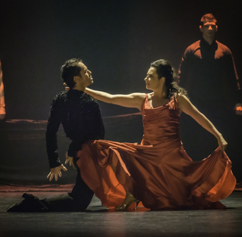 Daikin Champions’ Ball 2014