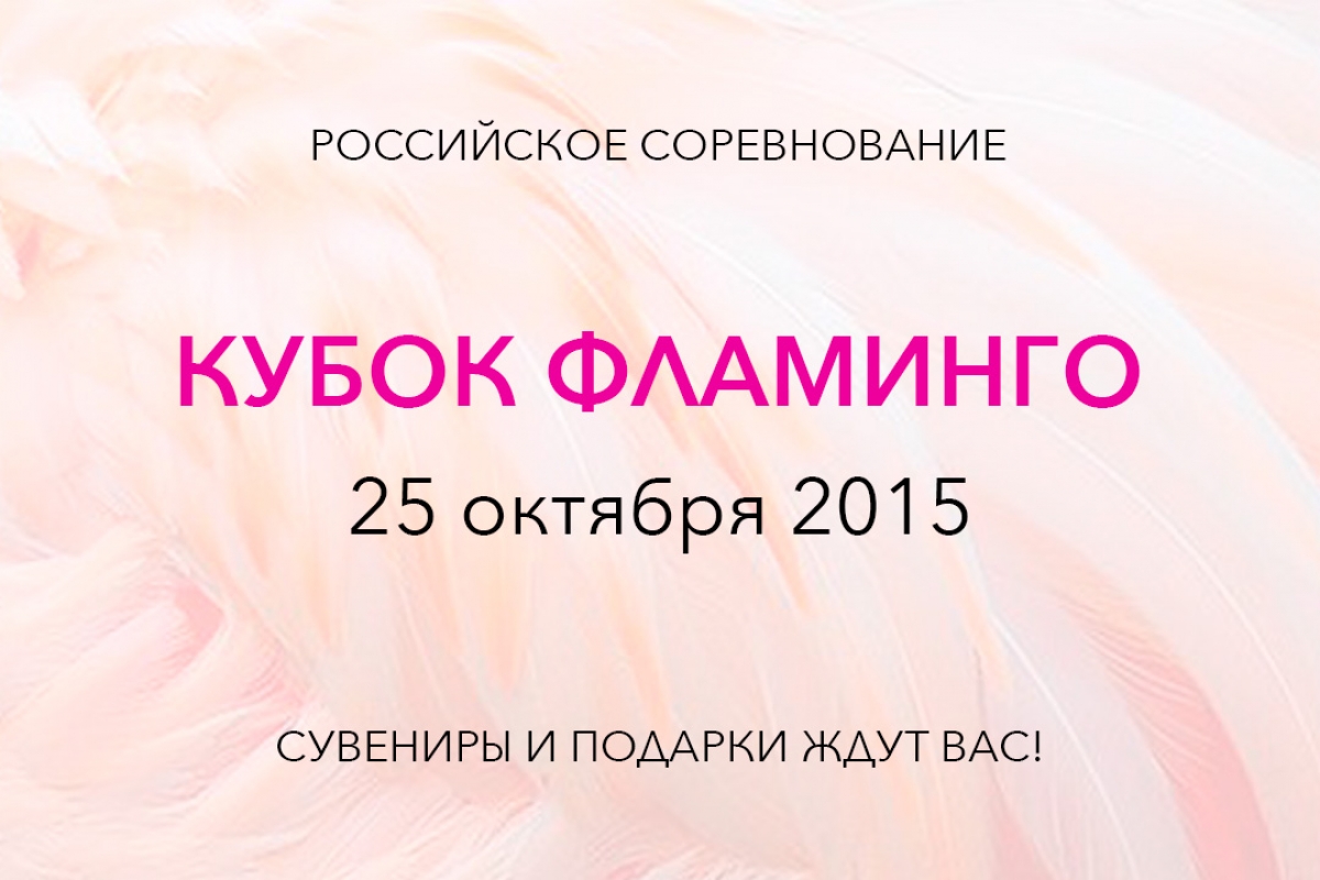 Кубок Фламинго 2015
